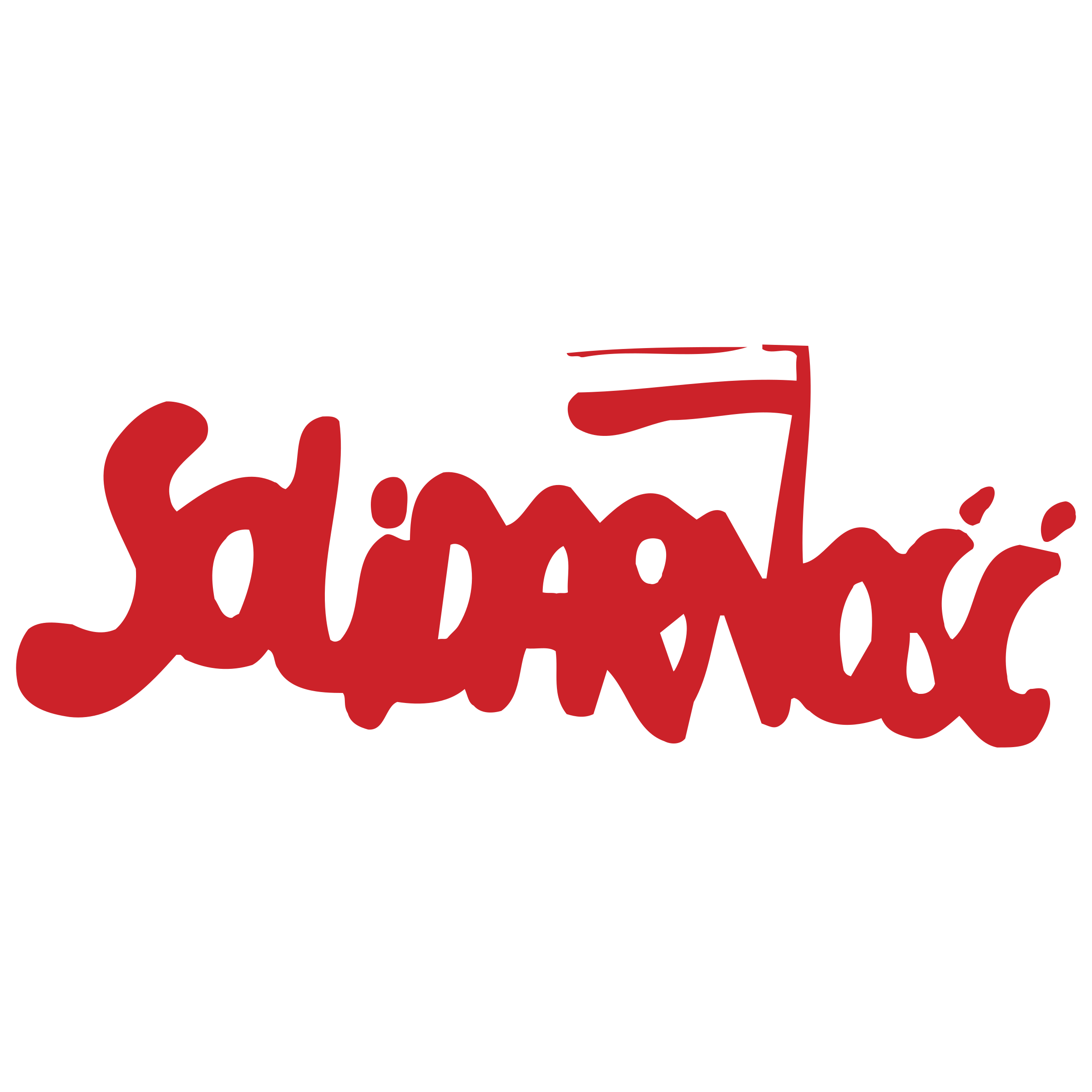 Vins Solidarnosc